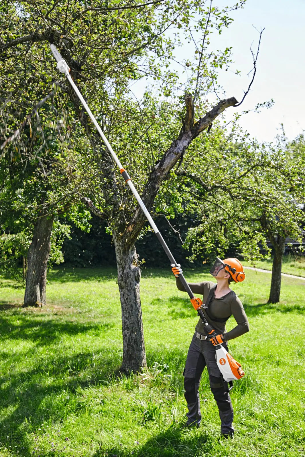 Stihl Grensag HTA 135 - AP-SYSTEM Stihl