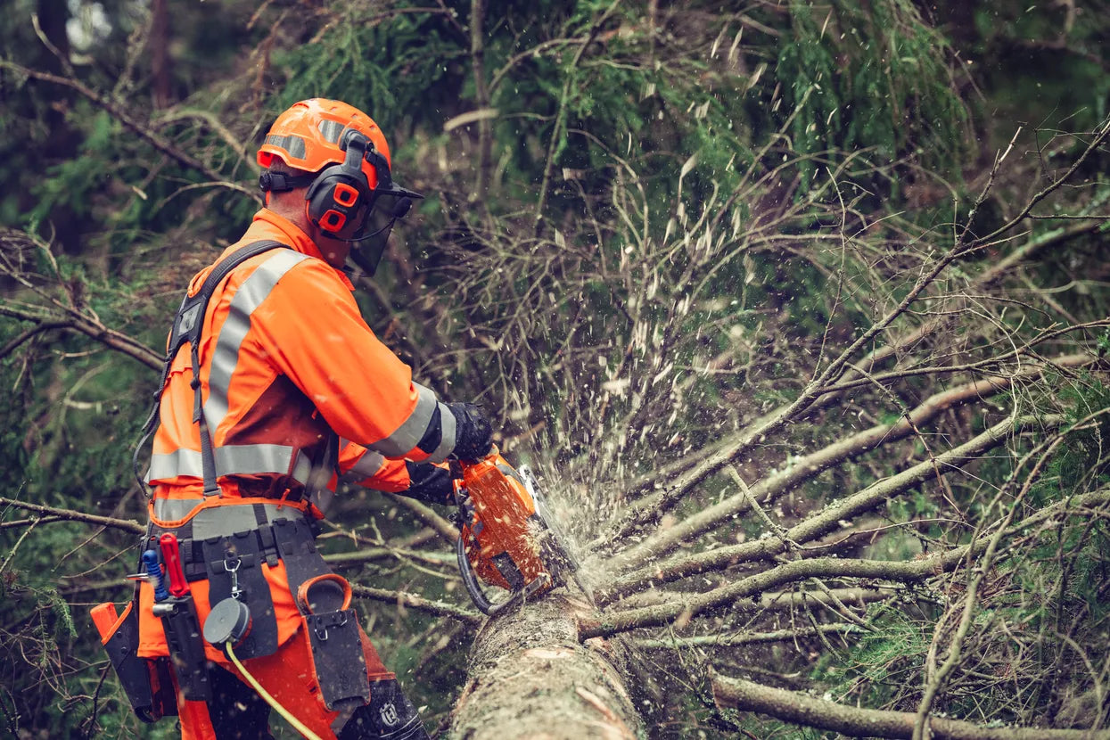 Husqvarna 564 XP® G Fuel Inject