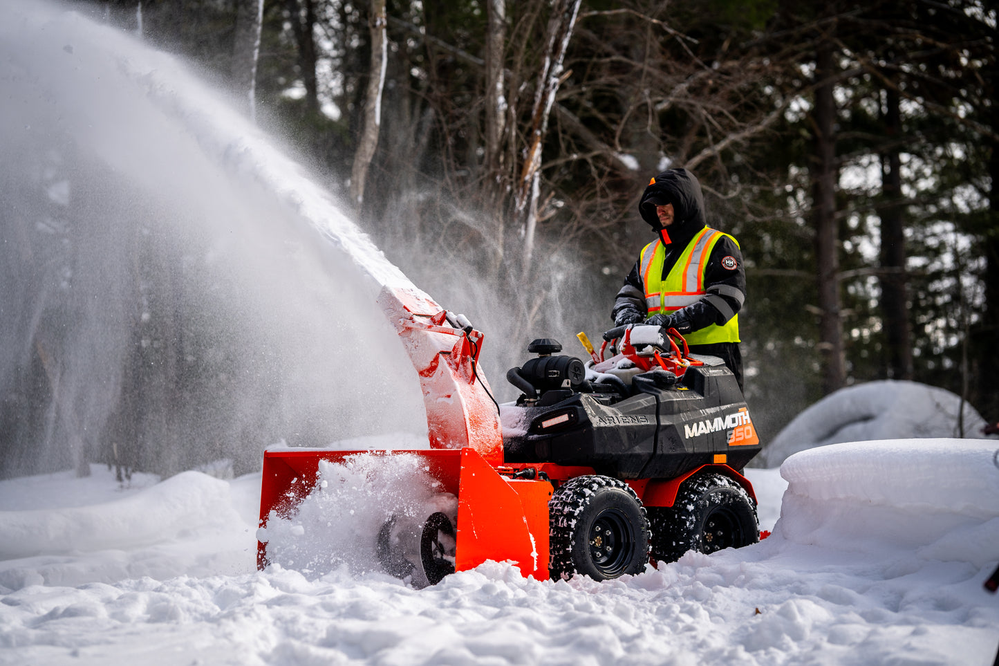 MAMMOTH STAND-ON ARIENS