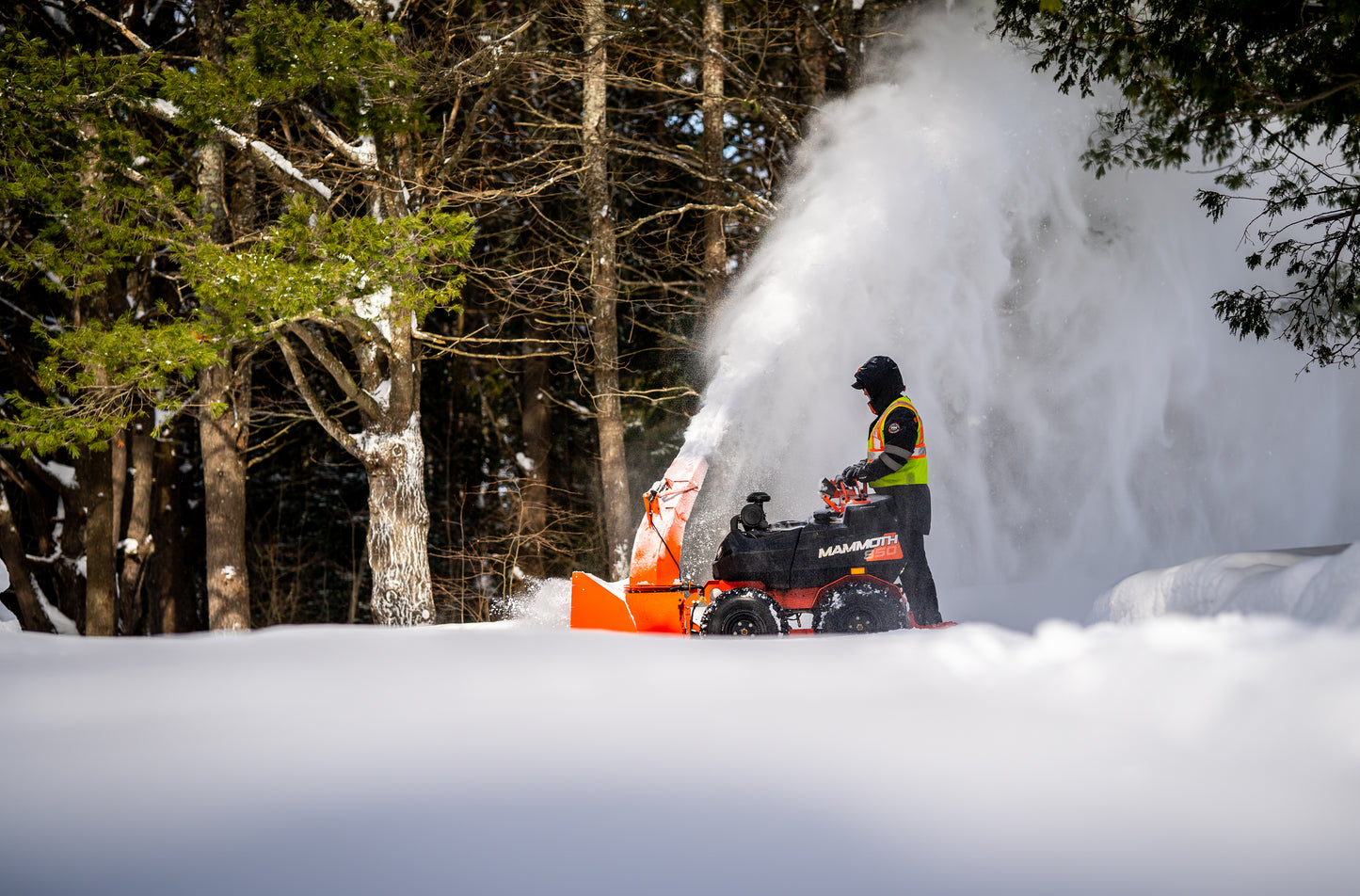 MAMMOTH STAND-ON ARIENS