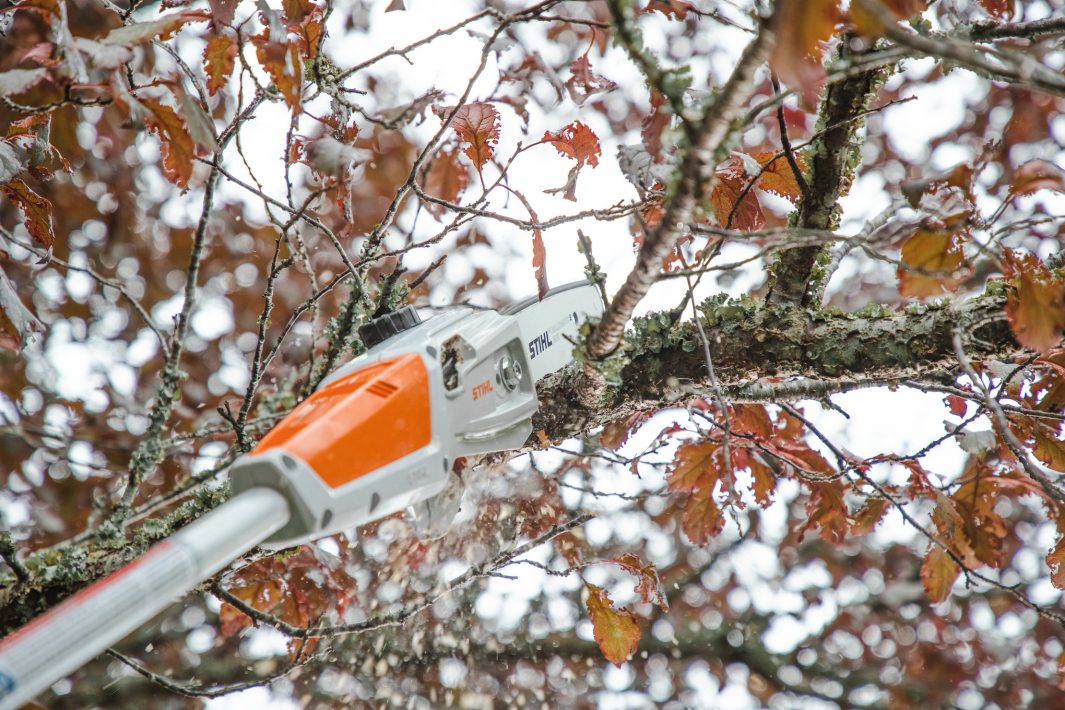 Stihl Grensag HTA 50