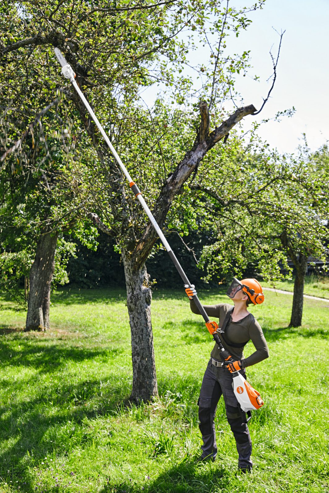 Stihl Grensag HTA 135 - AP-SYSTEM