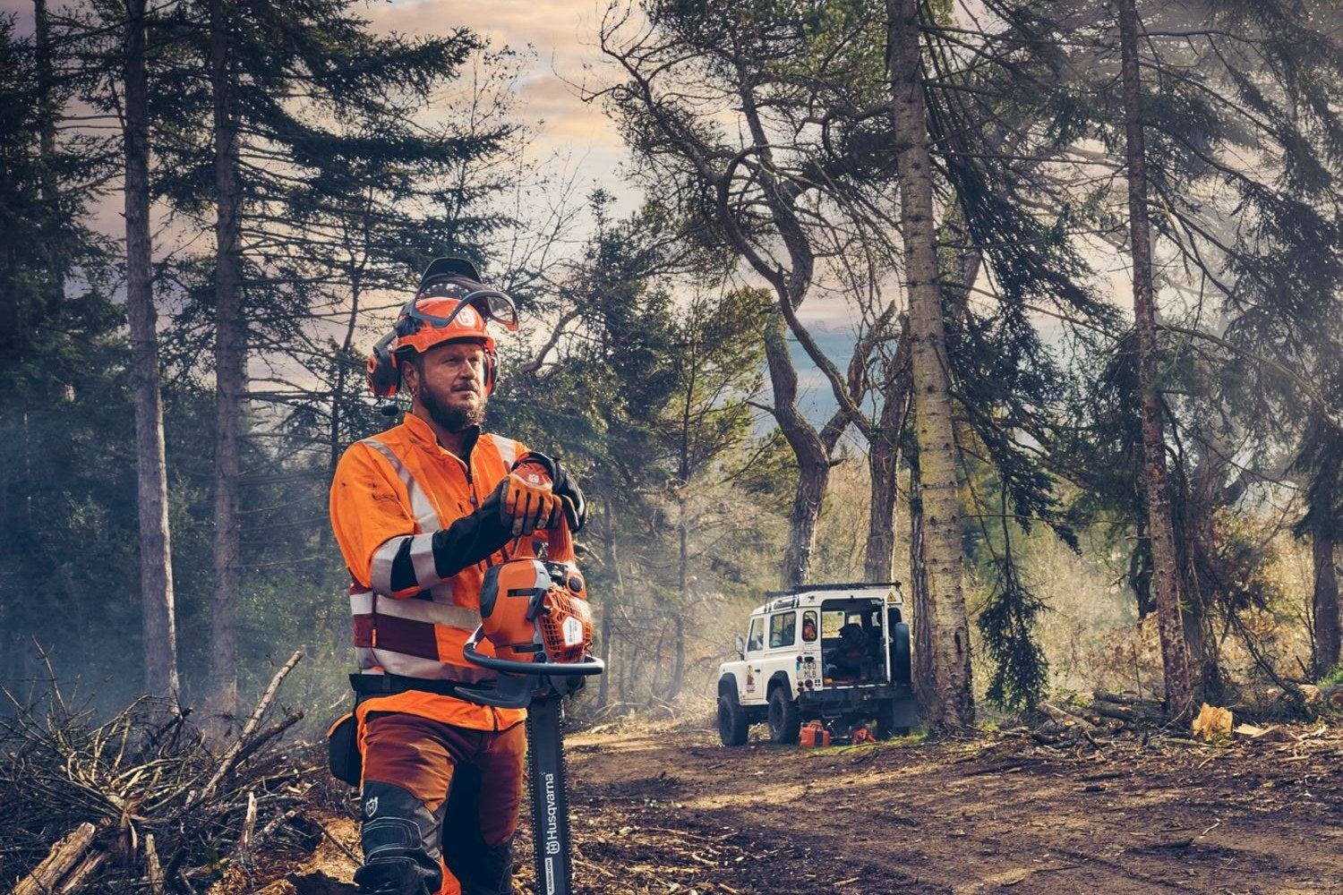 Motorsag i bruk i skogen